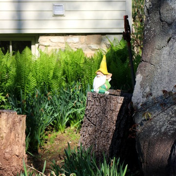 Spring 2015