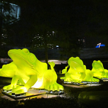 Leap Frog Forest