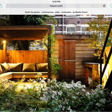 My backyard