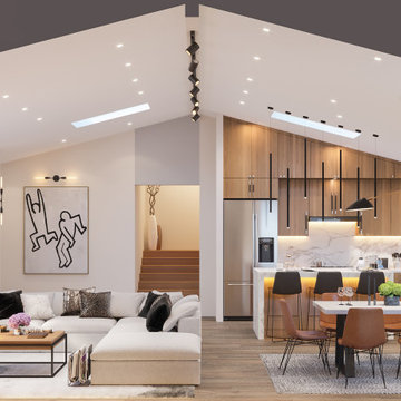 Contemporary House