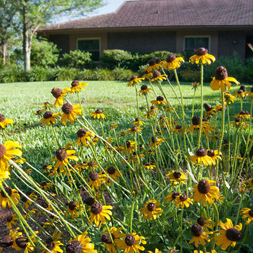 Suburban Lakeside Garden