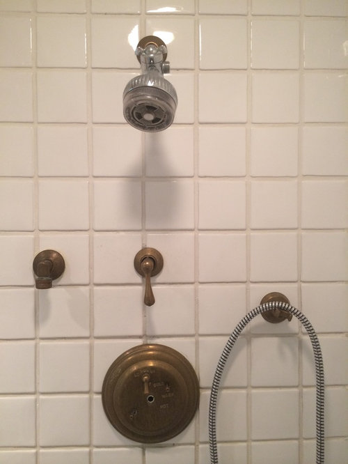 Aged Brass Shower fixtures, please help identify