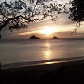Fernando Ramirez's photo