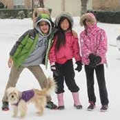 Sandy Yook's photo