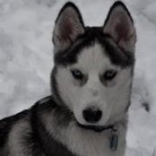 Eugenia Gyftopoulos's photo