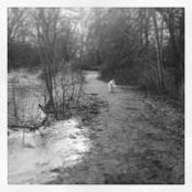 Karolyn Rutledge's photo