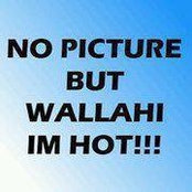Saphir Zaffiro's photo