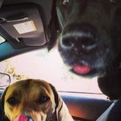 Mia Fernandez's photo