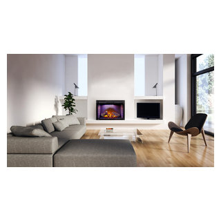 Napoleon Fireplace Design Gallery - Modern - Living Room - Other - by ...