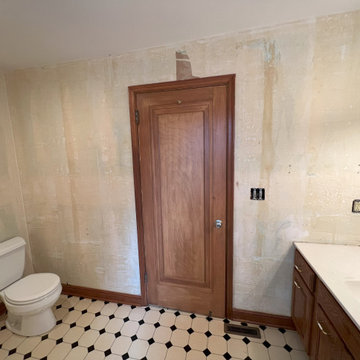Highland Park Saint Paul bathroom update