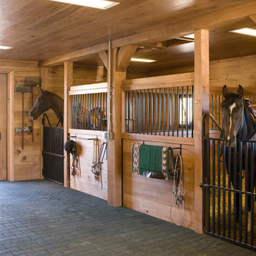 Basalt Family Ranch and Equestrian Facilities