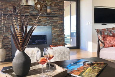 Living room - modern living room idea in Denver