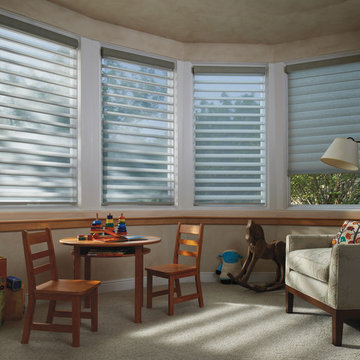 Hunter Douglas Silhouette Children's Room Shades
