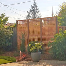Yasu backyard