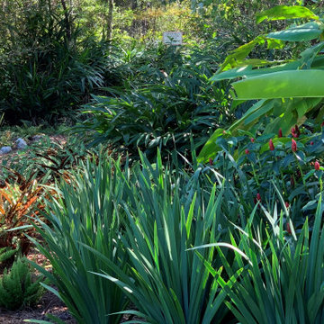 Memorial Garden- Tropical