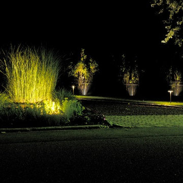 Landscape Lighting