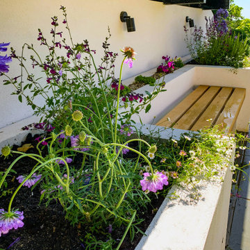 Roof Terrace Garden | Tunbridge Wells