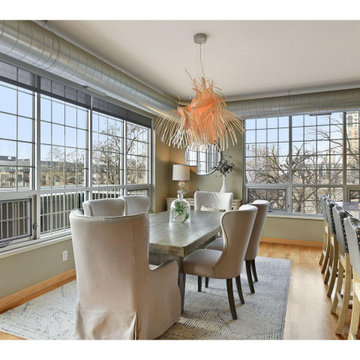 Minneapolis Contemporary Condo
