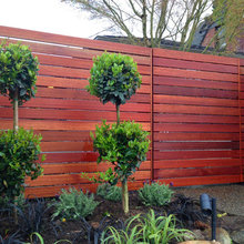 fence