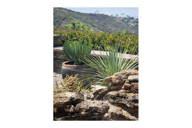This is an example of a small back xeriscape full sun garden in Orange County.