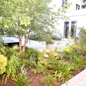Menlo Oaks White Tent