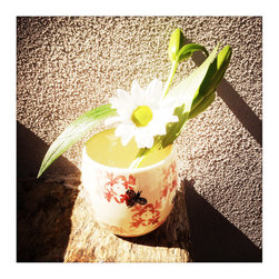 ART&DESIGN_styling for magazines - Productos