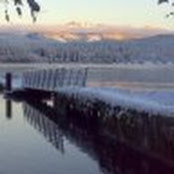 john wilkins's photo