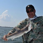 Richard Schmidt's photo