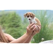Leanne Lamoureux's photo