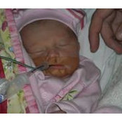 Sonja Jamsek's photo