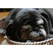 Katie Sykes's photo