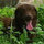 webuser_705168