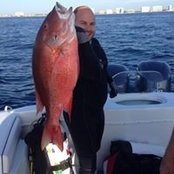 Marshall Sklar's photo
