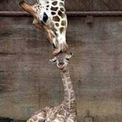 Ginny Eardley's photo
