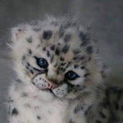 Kimberly Kennedy's photo