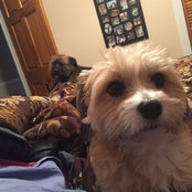 Emily Eikland's photo