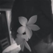 Foto von Flavia Fernandes