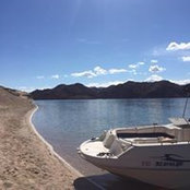 Sam Valenzano's photo