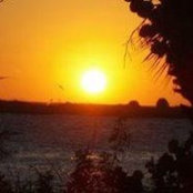 Debbie Conroy Taylor's photo