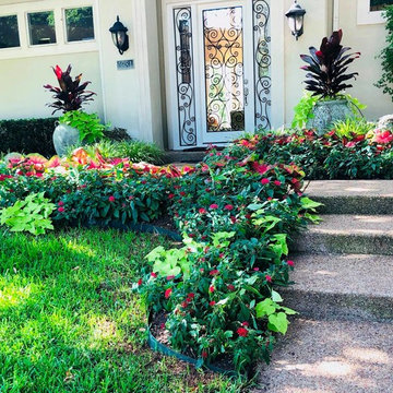Summer Installations 2019