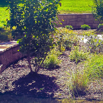 Landscape & Design