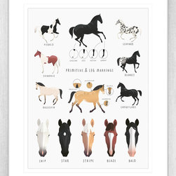 Everything Equine Collection - Framed Wall Art (EQ02) - Kids Wall Decor