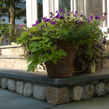 Front Porch/Steps Ideas