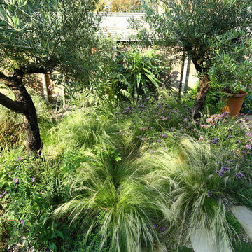 Mediterranean Garden landscaping in Chiswick