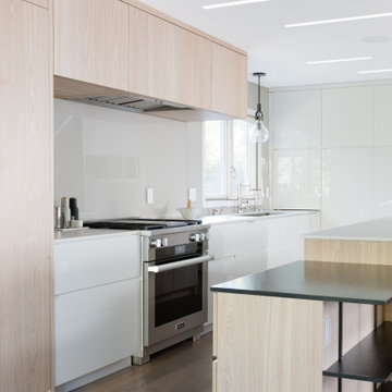 Modern Kitchen