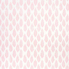 Wallpapers-Pink
