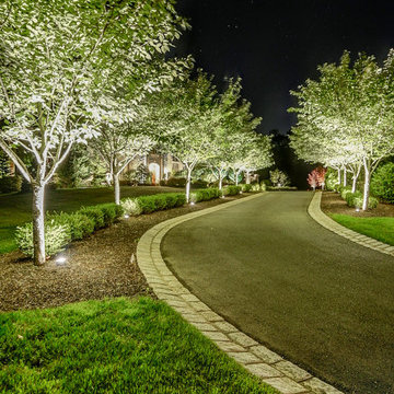 Landscape Lighting