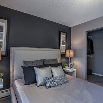 Contemporary Bedroom
