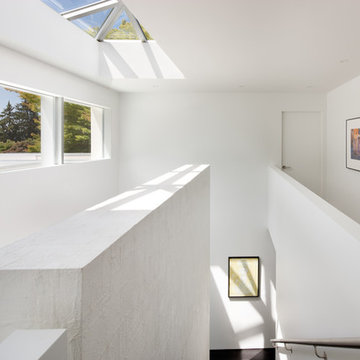 Modern Oasis