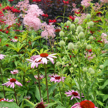 Island Border Vignette